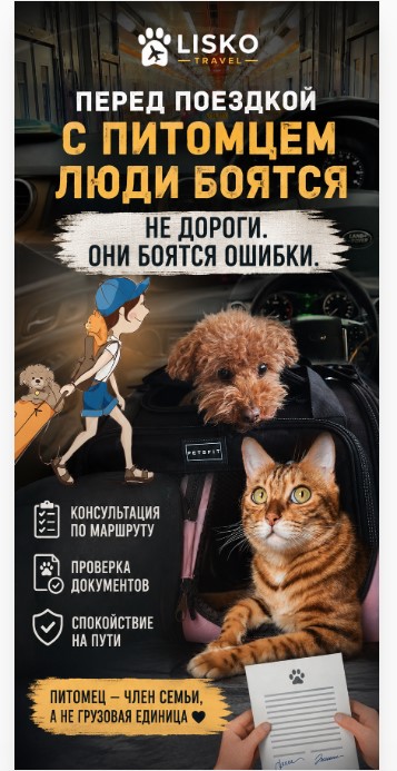 Перед поездкой с питомцем в Великобританию люди боятся не дороги