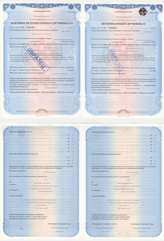 Почему нельзя вписывать курьера владельцем в форму №1: инструкция для СББЖ, курьеров и владельцев питомцев