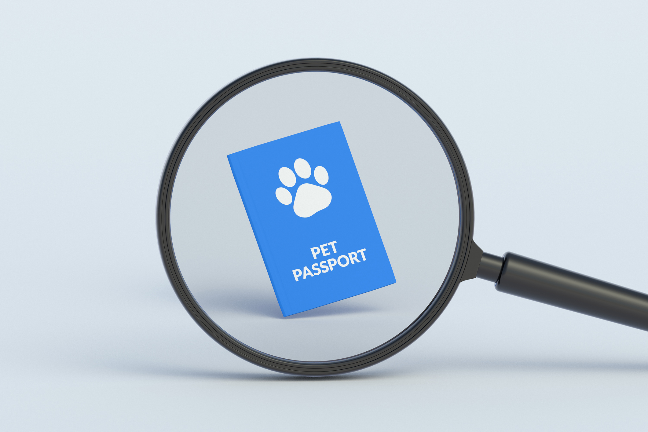 en-checking-travel-documents