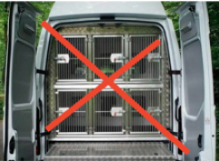 Pet Transport Box