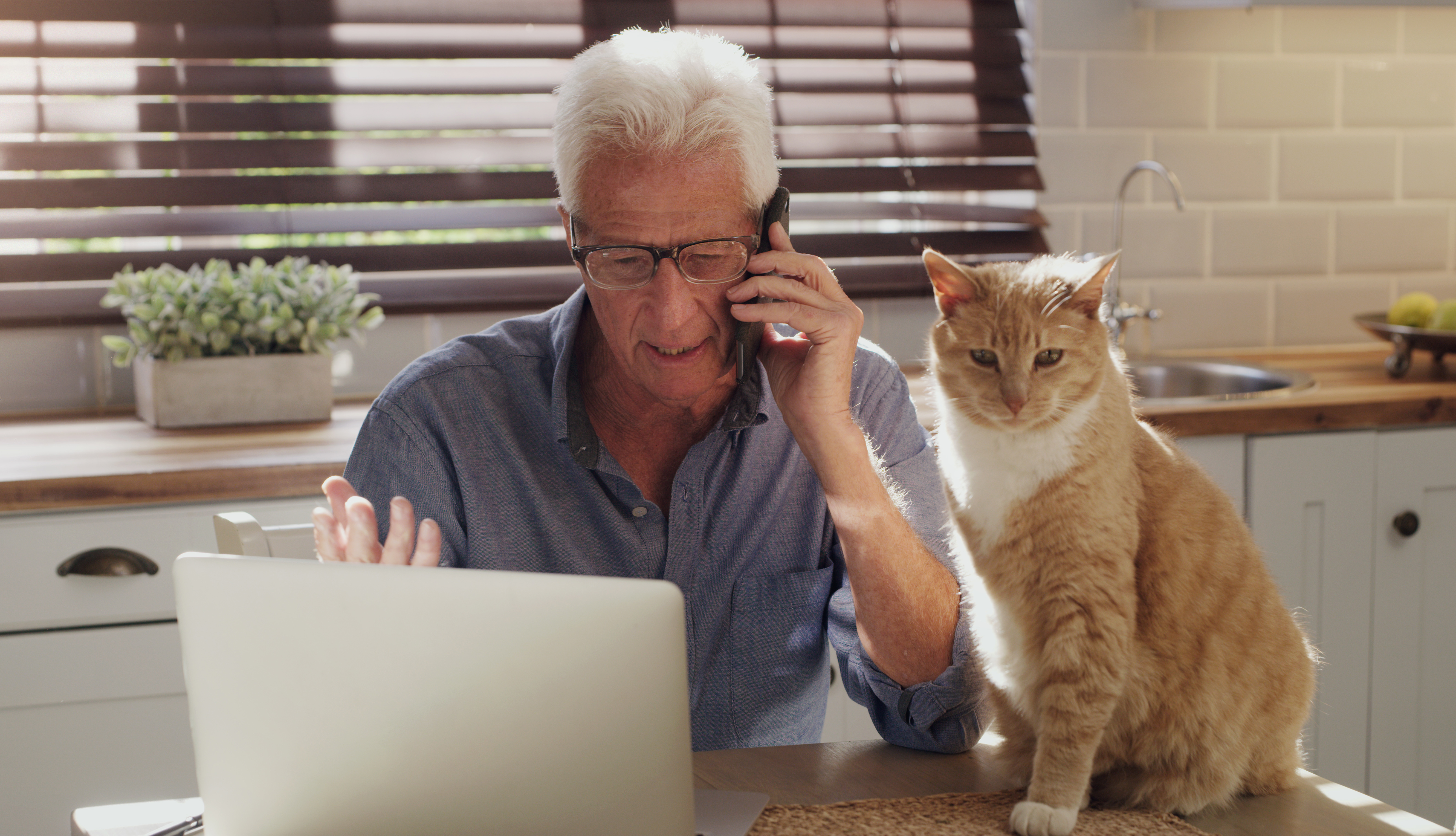 Pet travel consultation – expert advice on international transportation of cats and dogs.